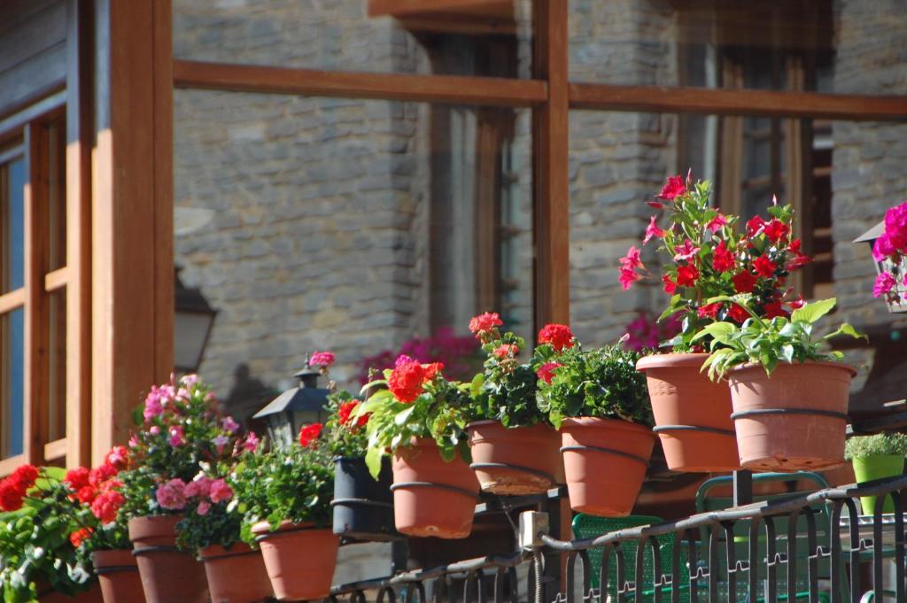 Hotel Roya Espot Zewnętrze zdjęcie